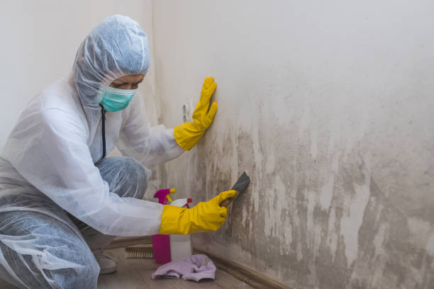 Best Residential Mold Removal  in Garland, NC