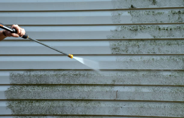 Best Commercial Mold Removal  in Garland, NC