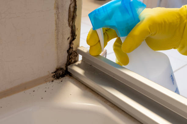 Best Attic Mold Removal  in Garland, NC
