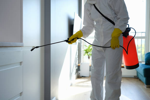 Best Mold Cleaning Services  in Garland, NC