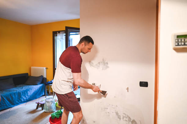 Best Toxic Mold Removal  in Garland, NC