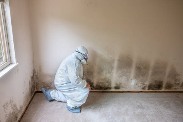 Crawl Space Mold Removal in Garland, NC