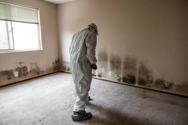 Best Crawl Space Mold Removal  in Garland, NC