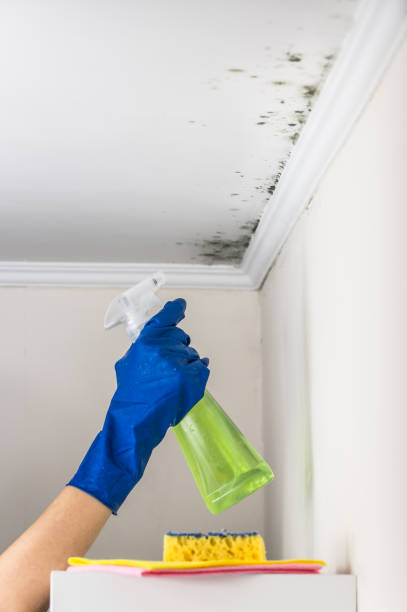 Best Emergency Mold Removal  in Garland, NC